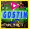 Radio Gostin logo