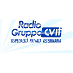 Radio GruppoCVIT logo