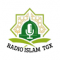 RADIO ISLAM TGX logo