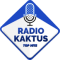 Radio Kaktus logo