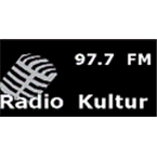 Radio Kultur logo