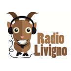 Radio Livigno logo