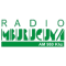 Radio Mburucuyá logo