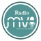 Radio Misión Vida Internacional logo