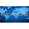 Rádio Mundo Brasil logo