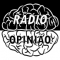 Rádio Opinião logo