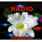 Radio Orquidea logo