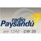 Radio Paysandu logo