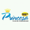 Rádio Princesa FM 105,9 logo