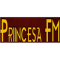 Rádio Princesa FM logo