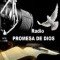 Radio Promesa De Dios logo
