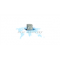 Radio Puissance Divine logo