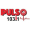 Radio PULSO logo