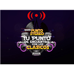 Radio Punto Stereo Chile logo