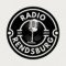 Radio Rendsburg logo