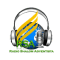 Radio Shalom Adventista logo