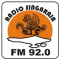 Radio Singaraja Fm logo