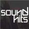 Rádio Sound Hits logo