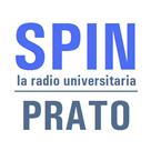 Radio Spin logo