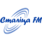 Radio Stalica logo