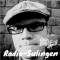 Radio Sulingen logo