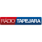 Rádio Tapejara logo