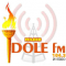 Radio Tele Idole logo