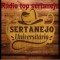 Rádio Top Sertanejo logo