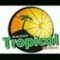 Radio Tropical 1040 A.M. logo