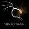 Radio-TwoDragons logo