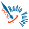 Radio Valley logo