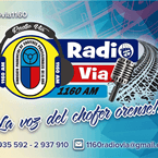 Radio Via 1160 AM logo