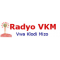 Radio Vkm logo