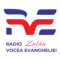 Radio Vocea Evangheliei Zalau logo