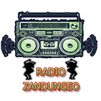 Radio Zandungeo logo