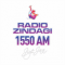 Radio Zindagi logo