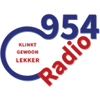 Radio 954 logo