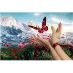 radiodocarlitos logo