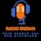 Radioenzian logo