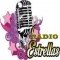 RADIOESTRELLAS logo