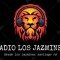 Radiolosjazmines FM logo