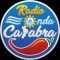 Radiondacalabra logo