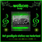 radiostillegenieter logo