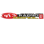 Radyo Gönül logo