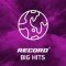 Record: Big Hits logo