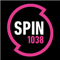 SPIN 1038