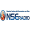 NSE Radio Chile