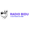 Rádio Bidu
