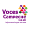 Voces Campeche