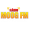 Rádio Moog FM